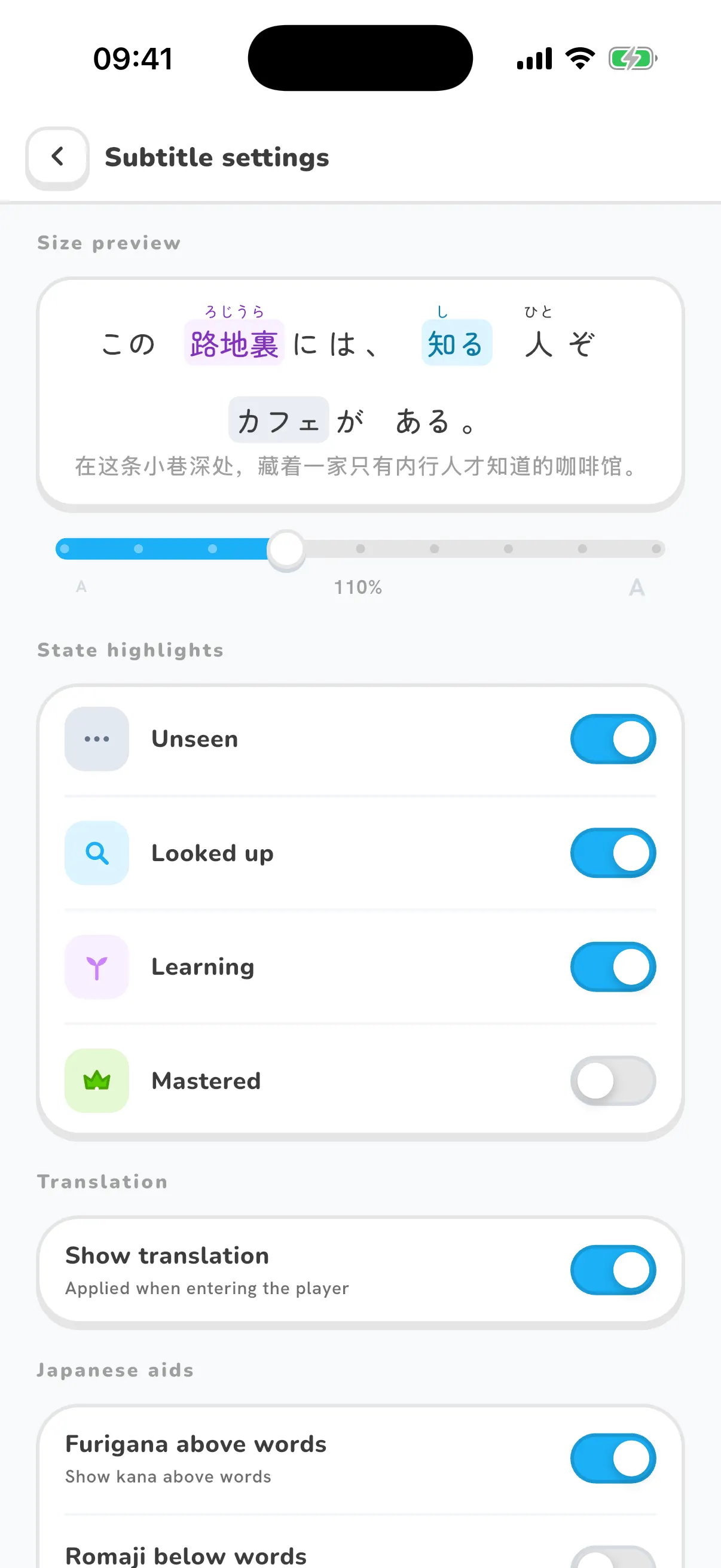 Subtitle settings with size, furigana, romaji and translation